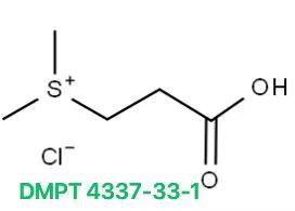 微信图片_20240606134952